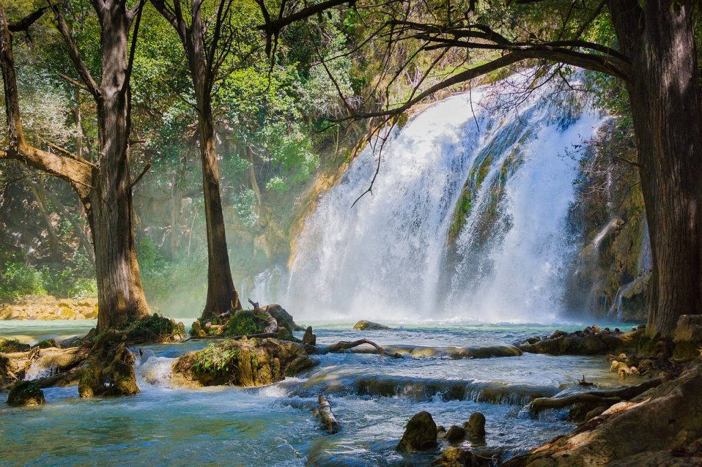 chiapas, méxico, nature