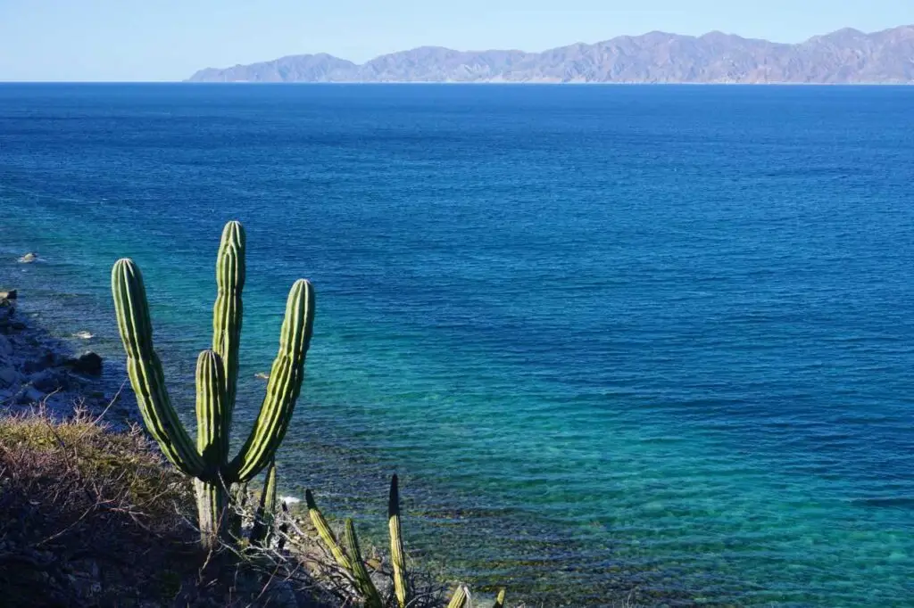 baja california tierras mayas 