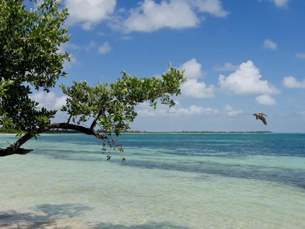 sian ka'an tierras mayas 