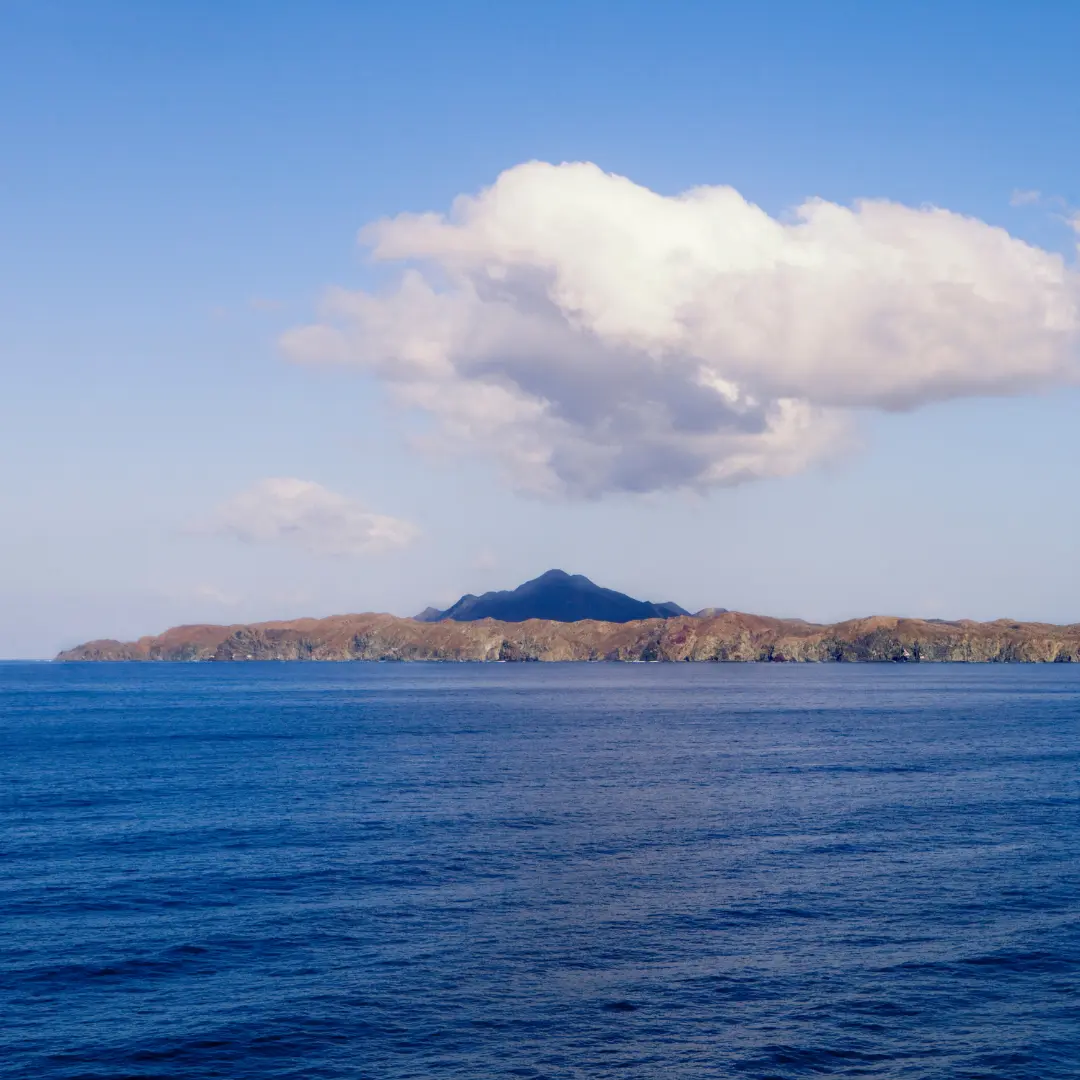 Avistamiento de Ballenas
