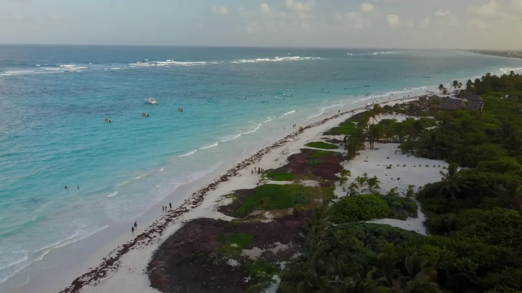Playa del Caribe mexicano vista desde el aire, con la selva detrás y el mar turquesa