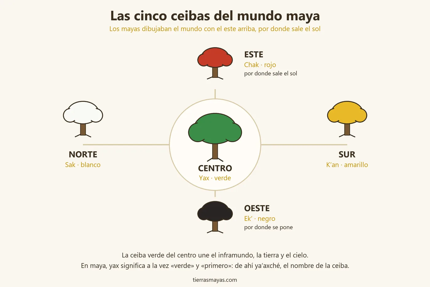 Esquema de las cinco ceibas del mundo maya: roja al este, blanca al norte, negra al oeste, amarilla al sur y verde en el centro
