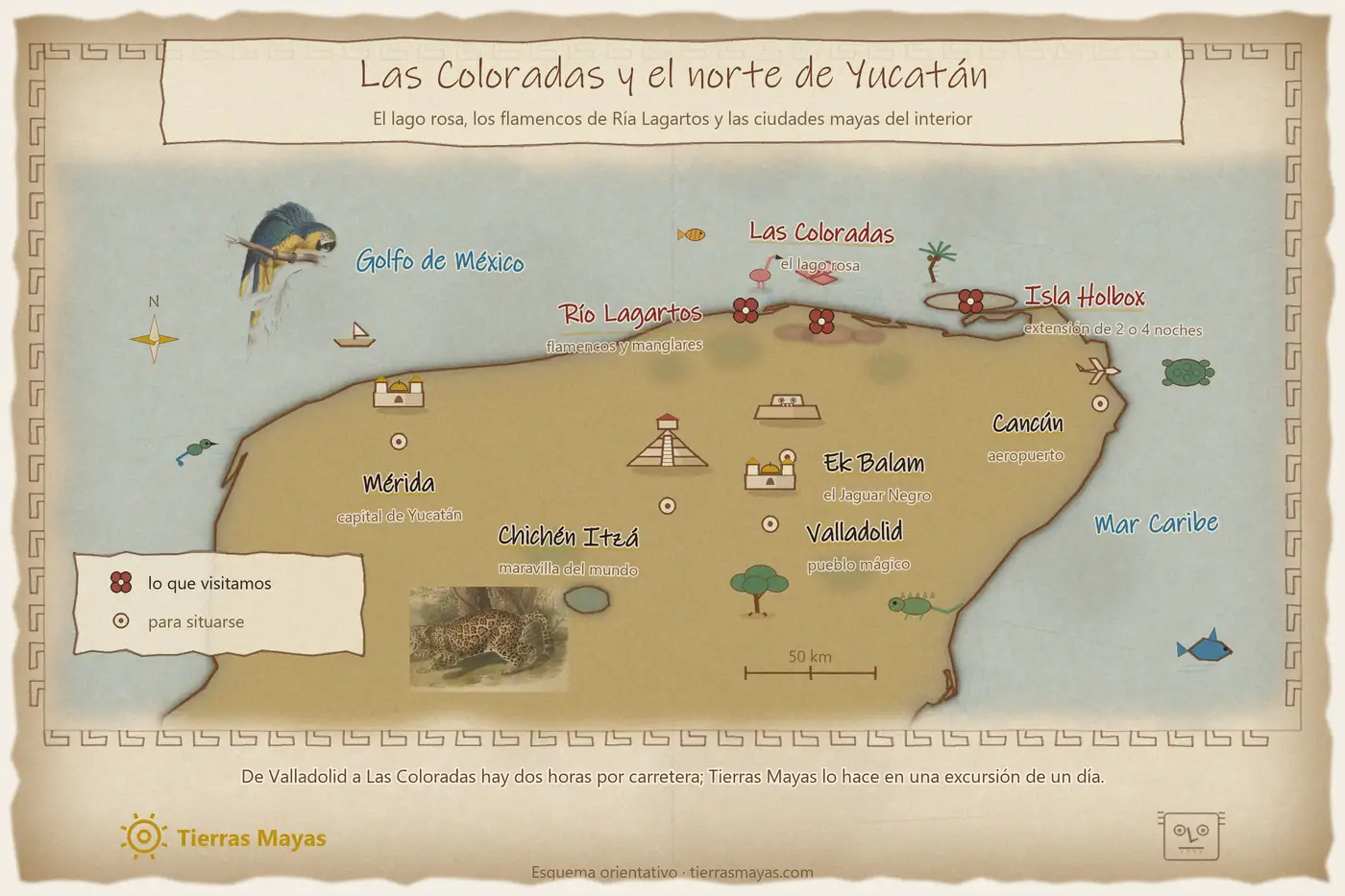 Mapa de la costa norte de Yucatán con Río Lagartos, Las Coloradas, Holbox, Ek Balam, Valladolid, Chichén Itzá, Mérida y Cancún