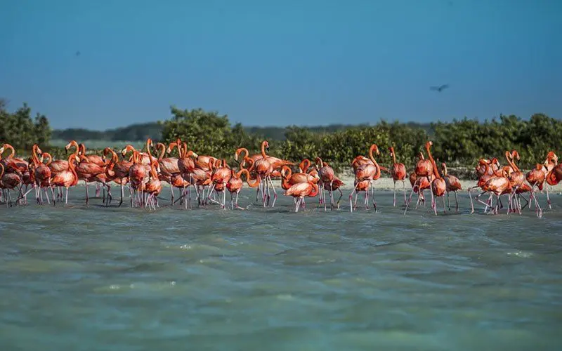 excursion riviera maya