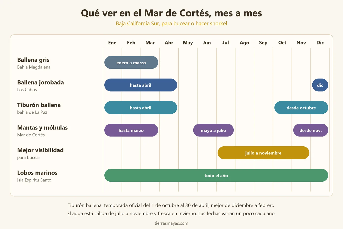 Calendario del Mar de Cortés: ballena gris de enero a marzo, ballena jorobada de diciembre a abril, tiburón ballena en La Paz de octubre a abril, mantas y móbulas de mayo a julio y de noviembre a marzo, mejor visibilidad de julio a noviembre y lobos marinos todo el año