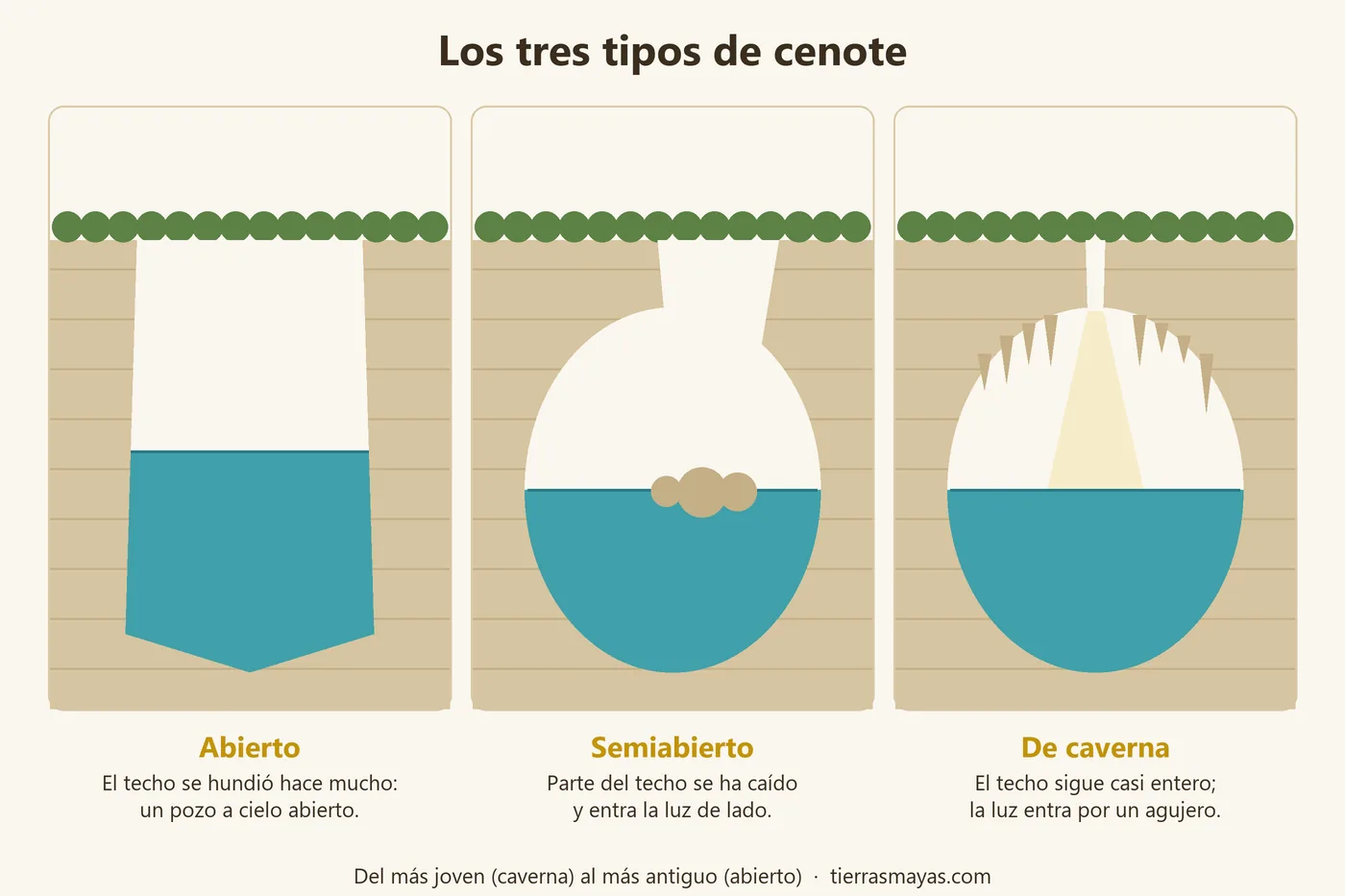 Esquema de los tres tipos de cenote: abierto, semiabierto y de caverna, según cuánto se ha hundido el techo de la cueva