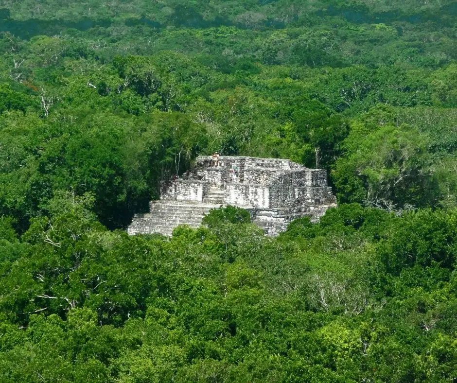 Calakmul tierras mayas