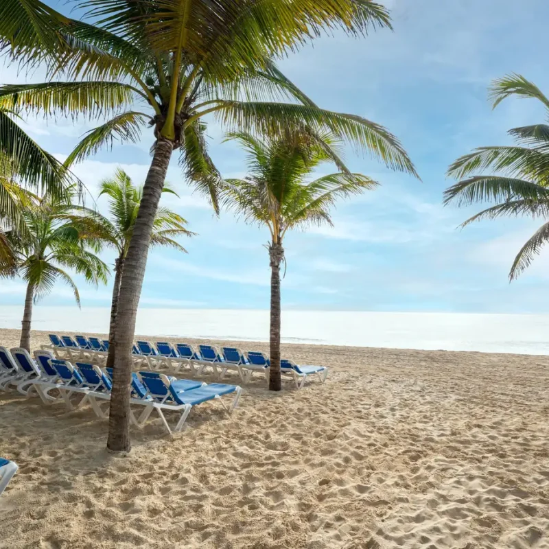 Playa del Viva Maya by Wyndham con tumbonas bajo las palmeras, Playacar