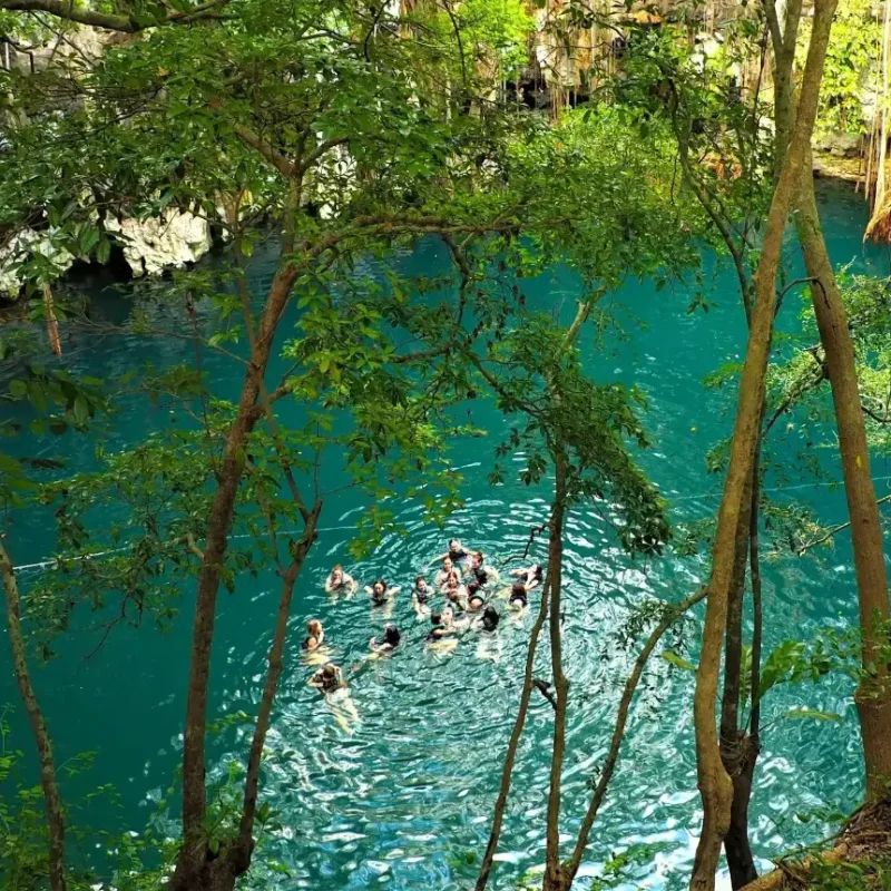 Viajeros bañándose en un cenote abierto rodeado de selva en la península de Yucatán